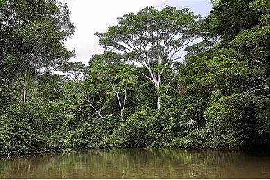 2K Games《WWE 2K22》9分钟实机演示